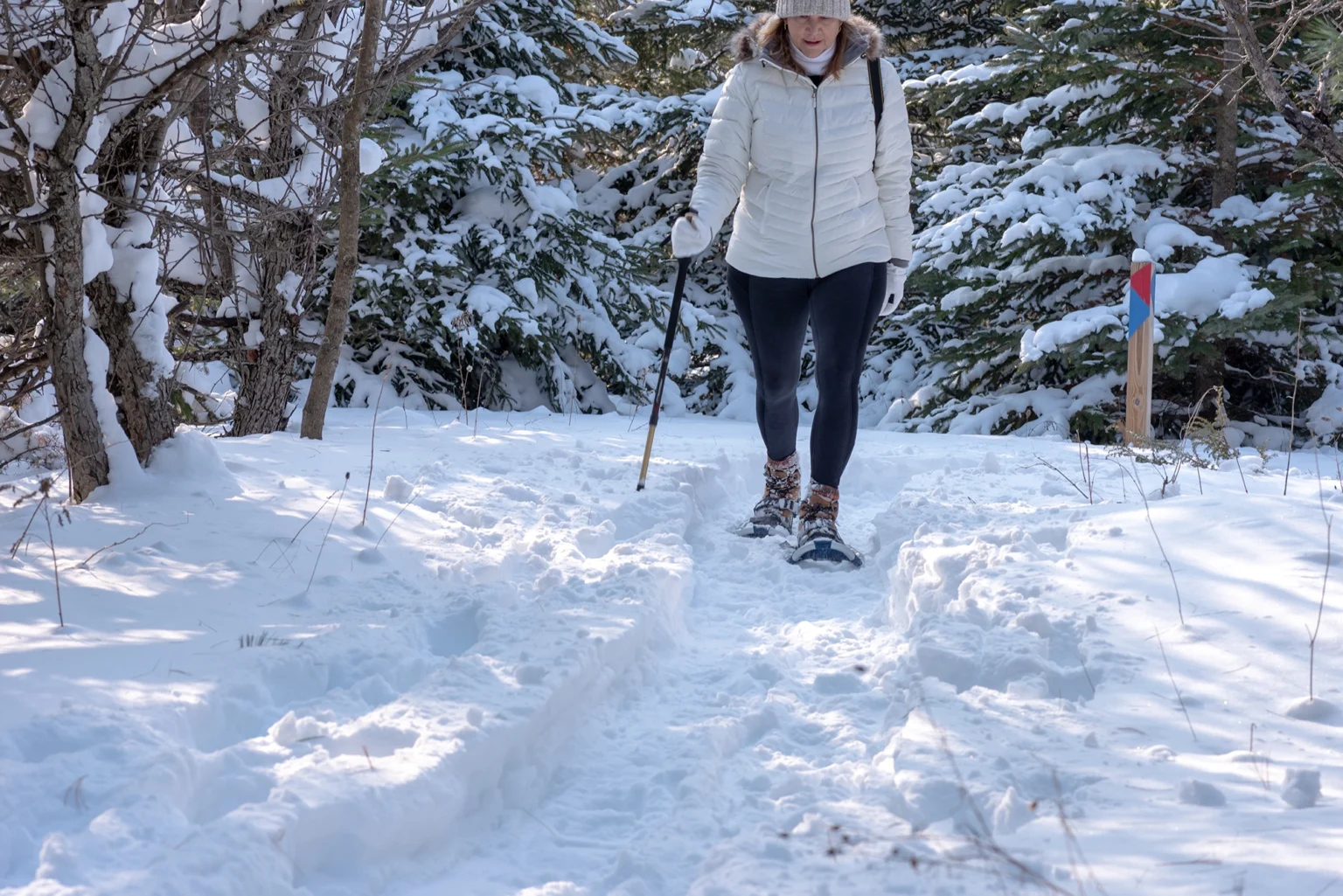Snowshoe Petawawa