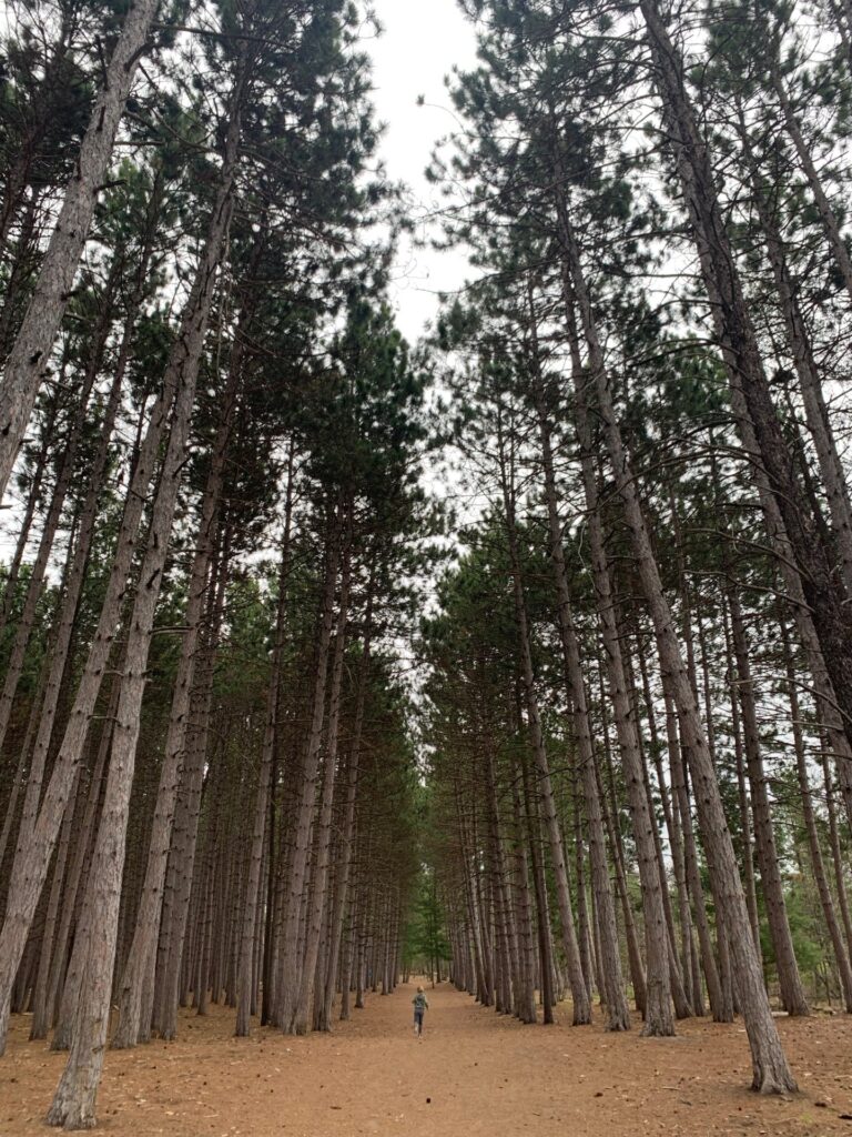 Petawawa Terrace Park