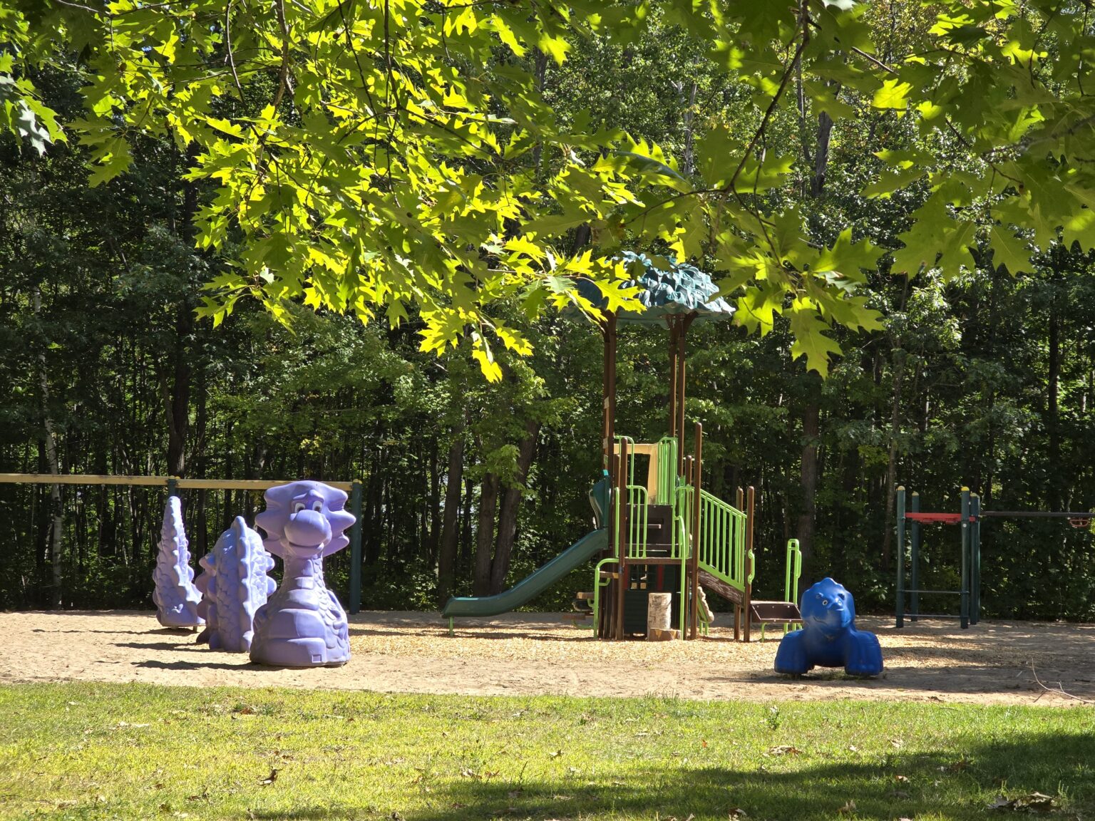 Enchanted Forest Park