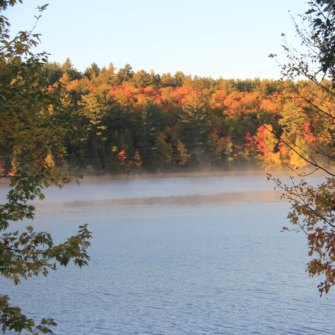 Hike the Pine & Dine