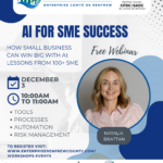 AI for SME Success: How Small Businesses Win Big with AI: Lessons from 100+ SMEs
