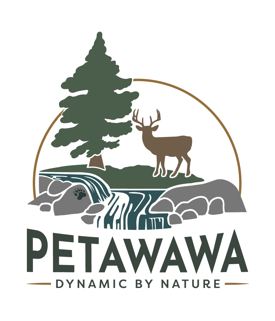 Council-In-Committee Meeting - Fallback Image