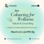 Zen Colouring for Wellness