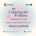 Zen Colouring for Wellness