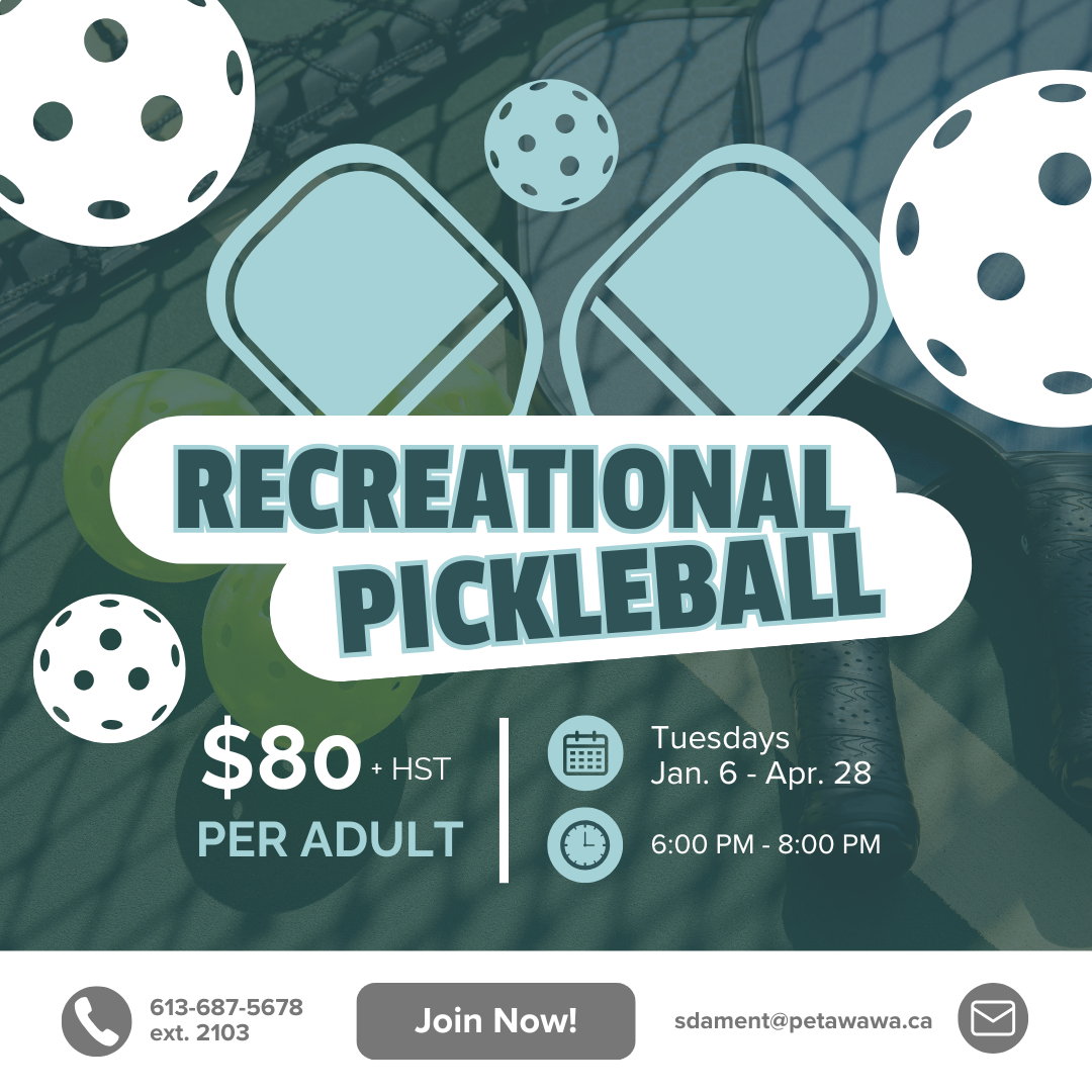 Recreational Pickleball