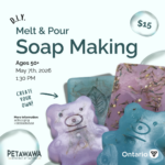 DIY Melt & Pour Soap Making