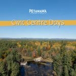 Mindfulness Forest Retreat: Connect with Nature