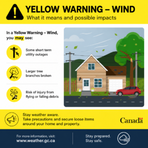 Yellow Warning - Wind